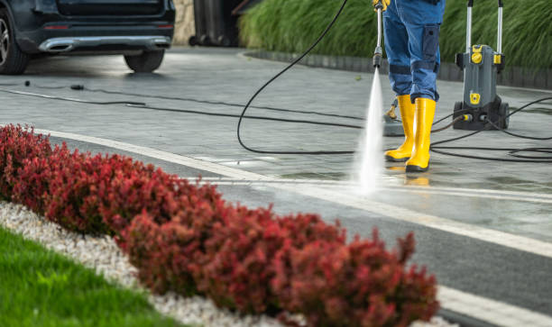 Best Soft Washing for Delicate Surfaces in Corte Madera, CA